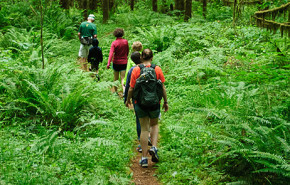 National Trails Day is Coming—Go Take a Hike!