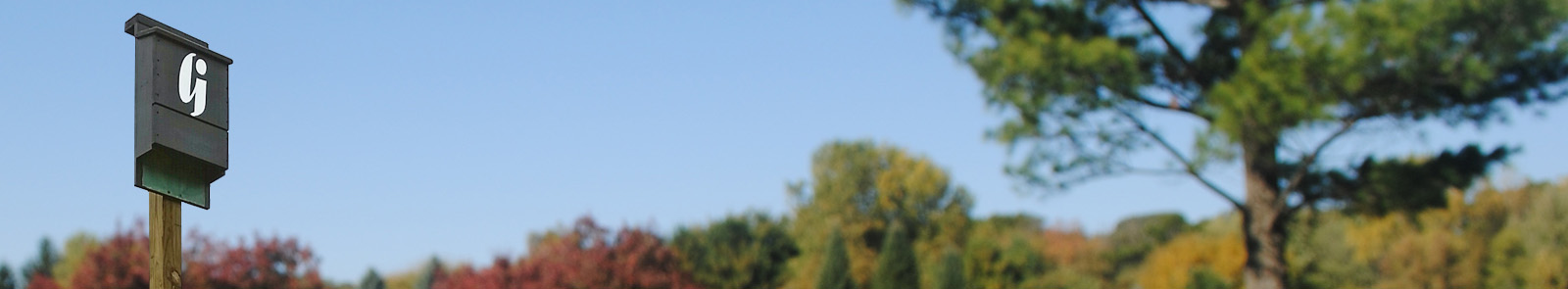 Bat Box Installation: An Effective Mitigation Strategy - GAI Consultants