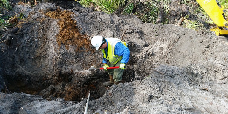 Meeting Gopher Tortoise Relocation Needs - GAI Consultants