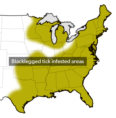 Blacklegged tick infested areas