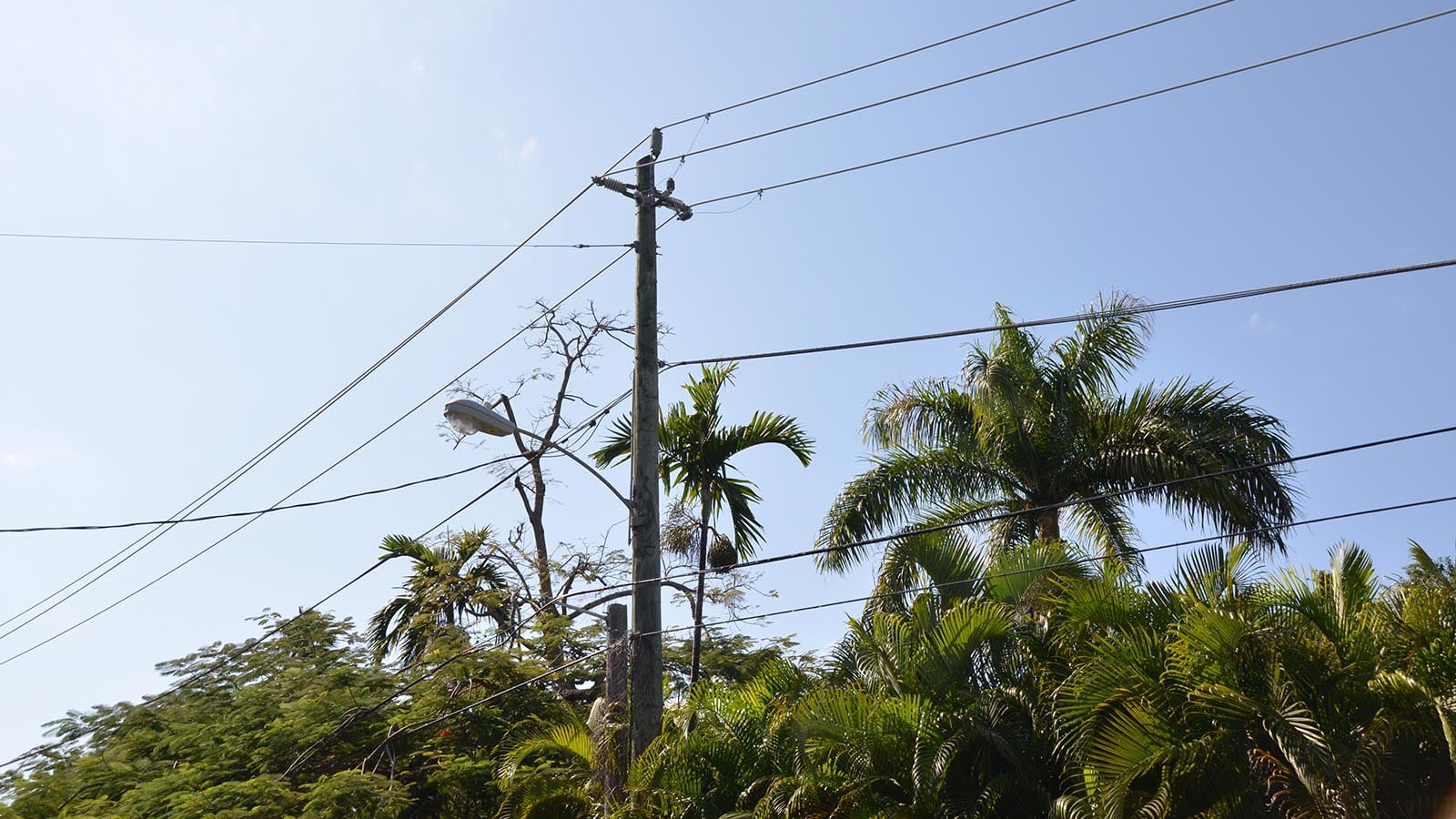 Distribution Engineering for Various Projects in Southeast United ...