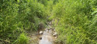 Unnamed Tributary of Isaacs Creek Stream Restoration Project