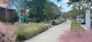 Dr. Phillips Packing District